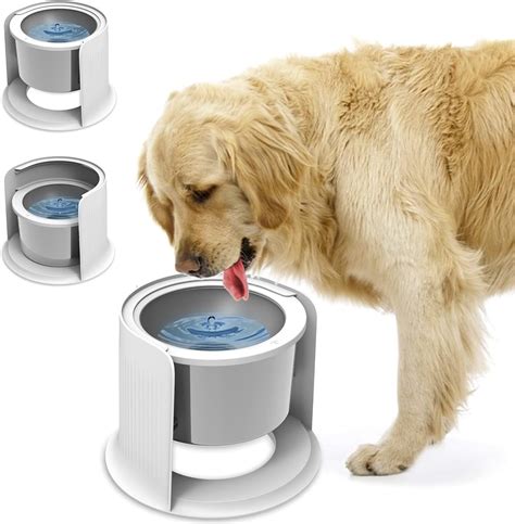 spill proof water bowl for dogs